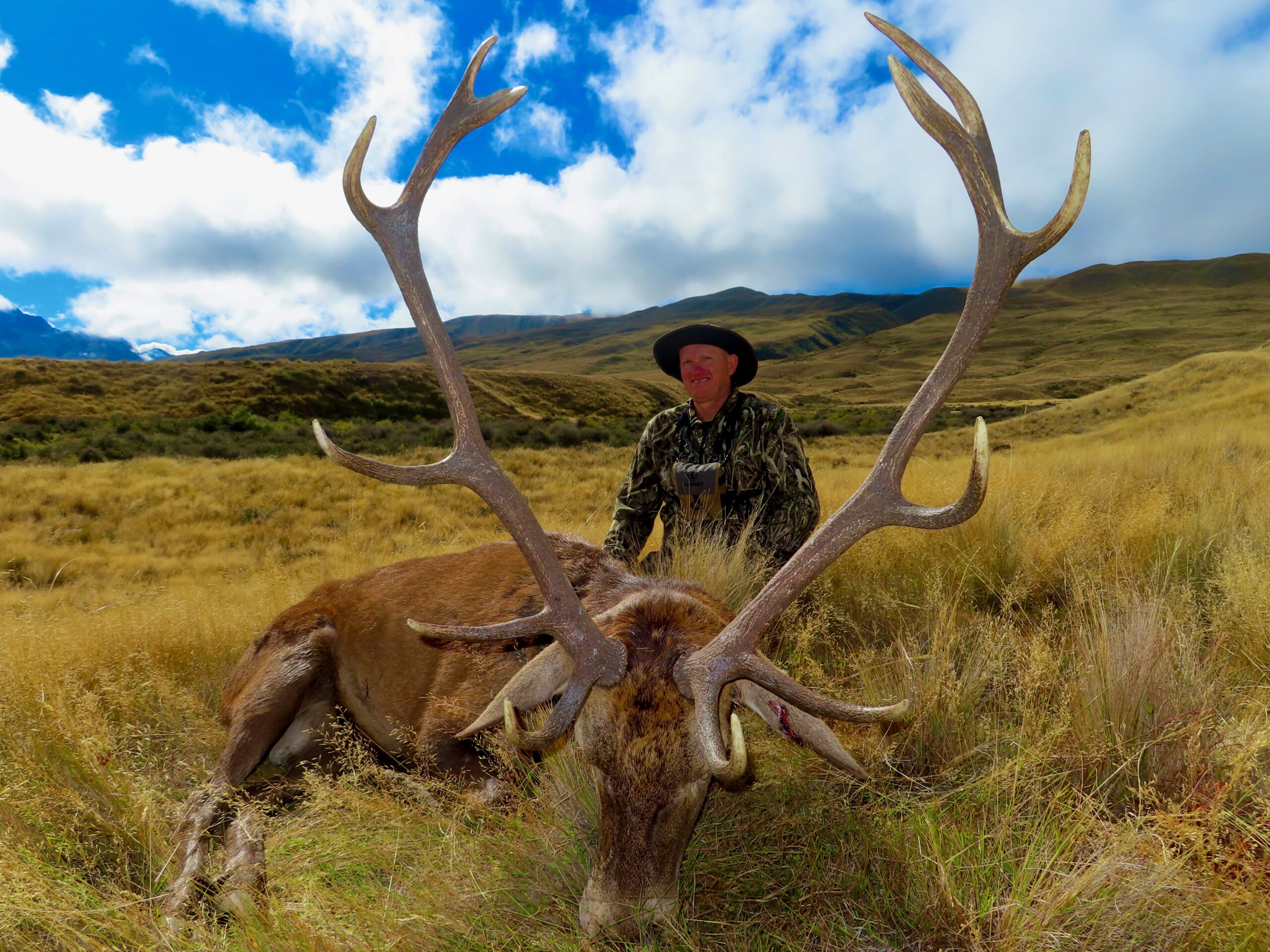 Free range 6x6 red stag New Zealand