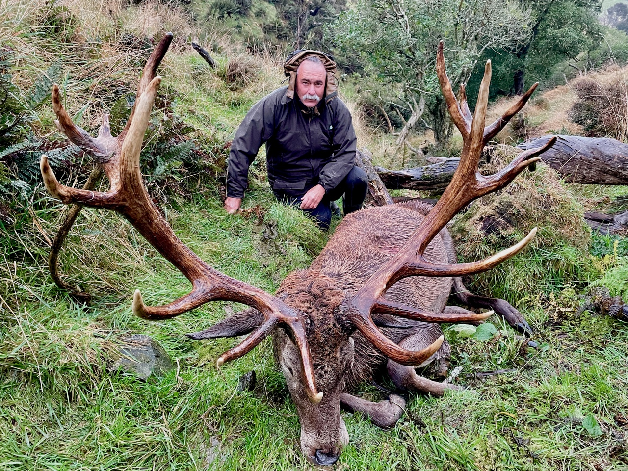 New Zealand red stag hunt trophy