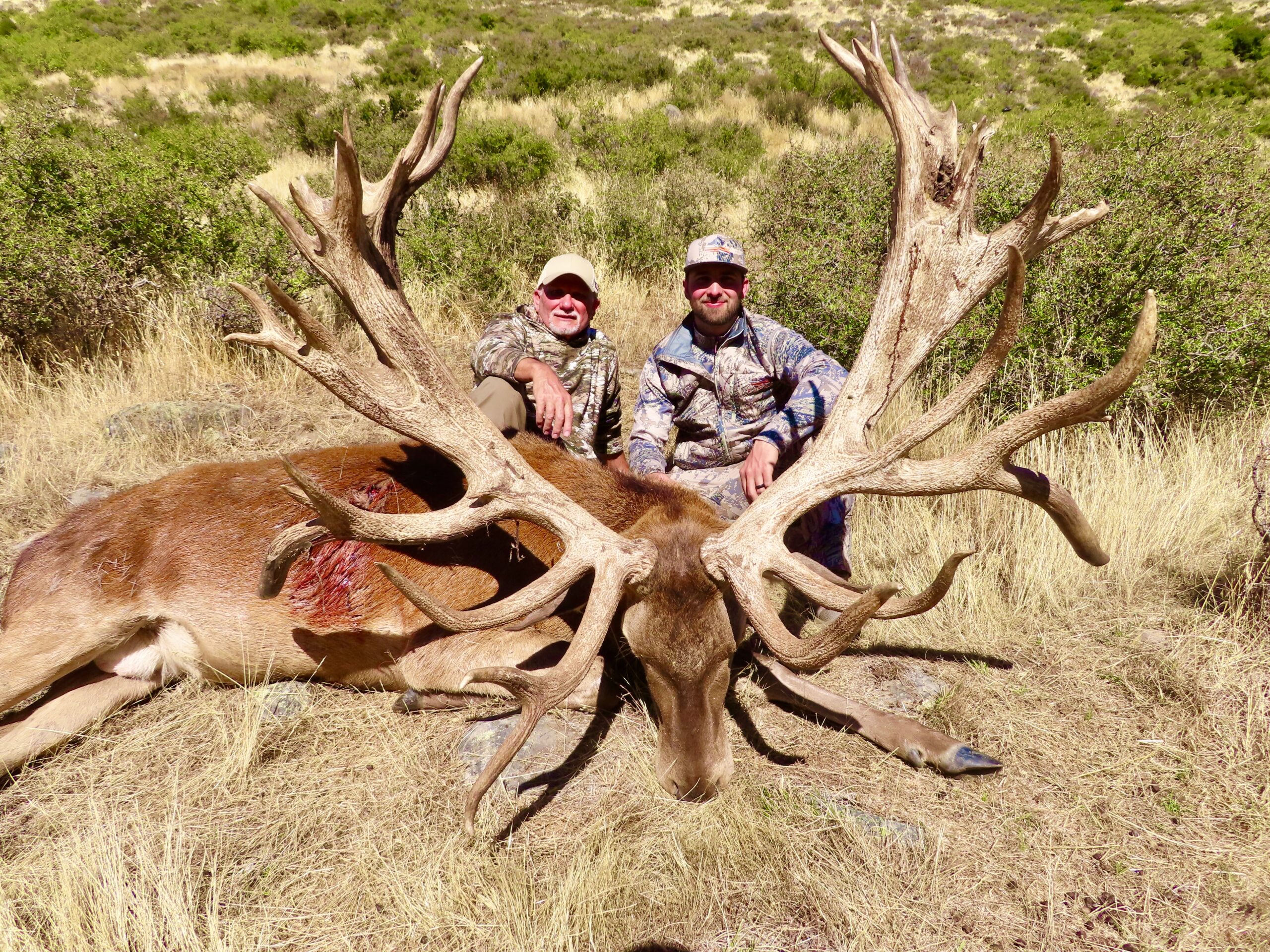 620 inch red stag trophy