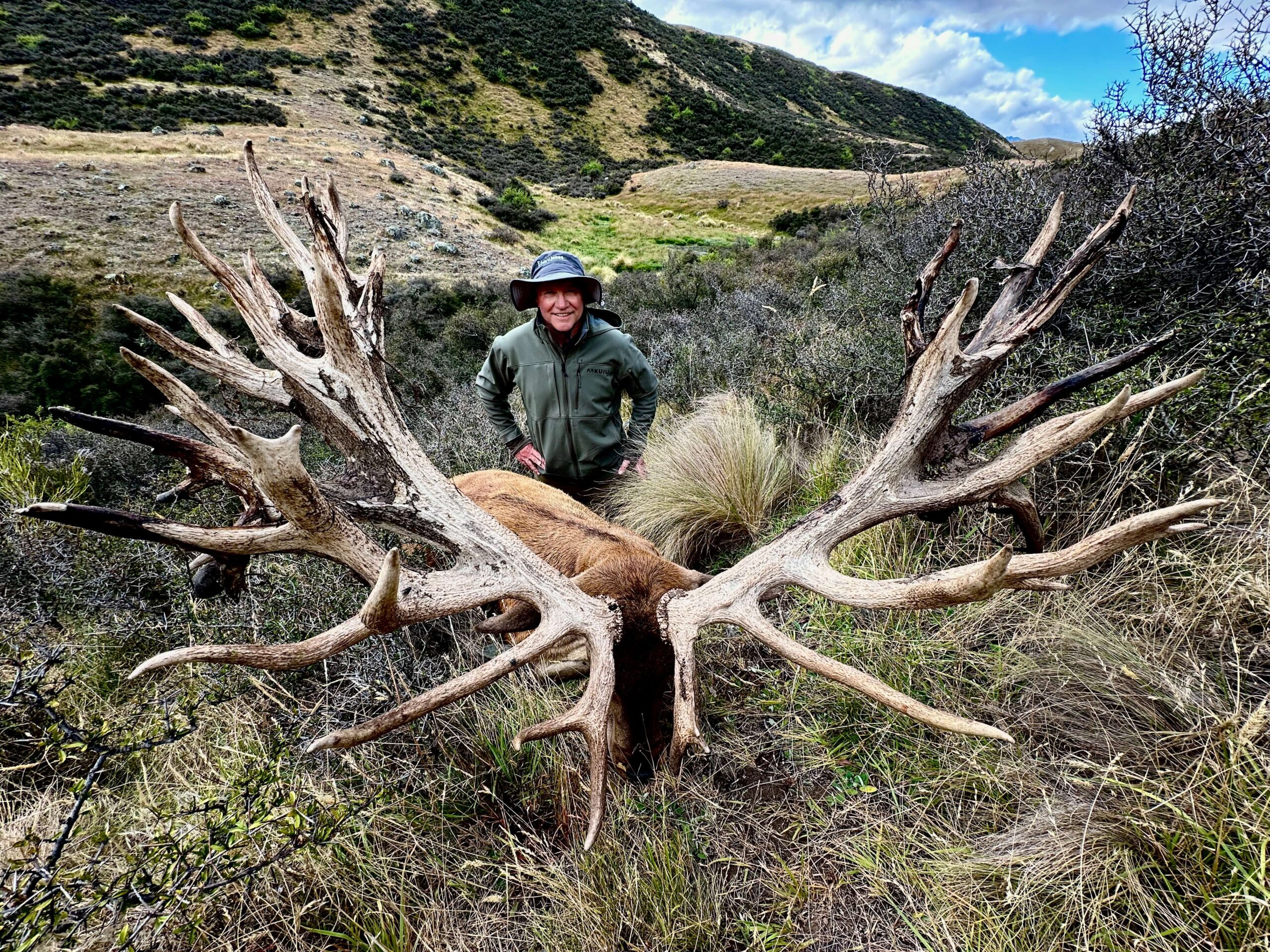 663 inch red stag trophy