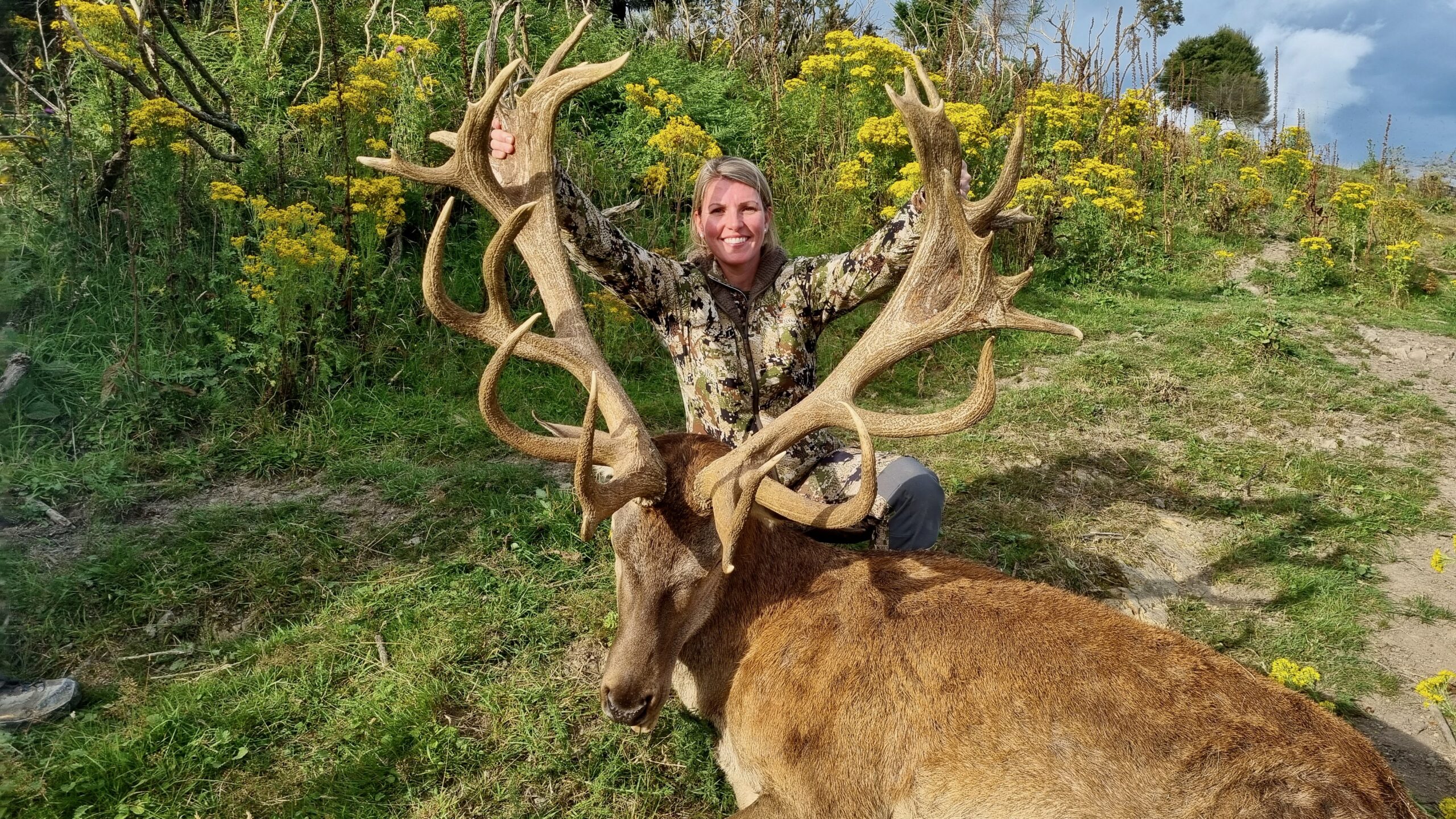 Red stag trophy SCI 410