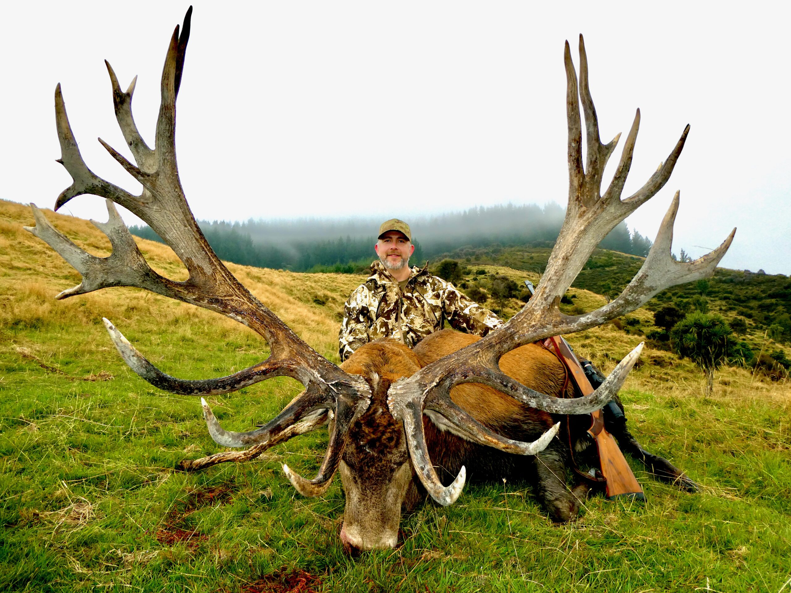 472 inch red stag trophy